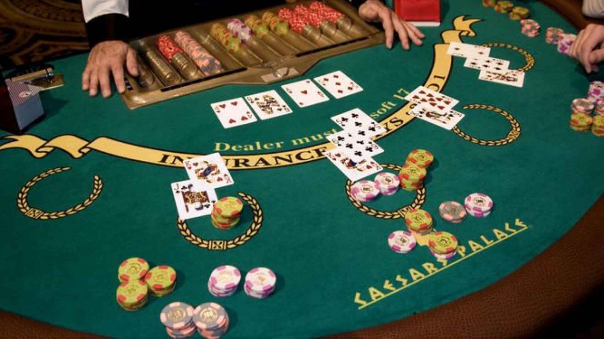 Bridge Games Advice for Every Stage of Learning